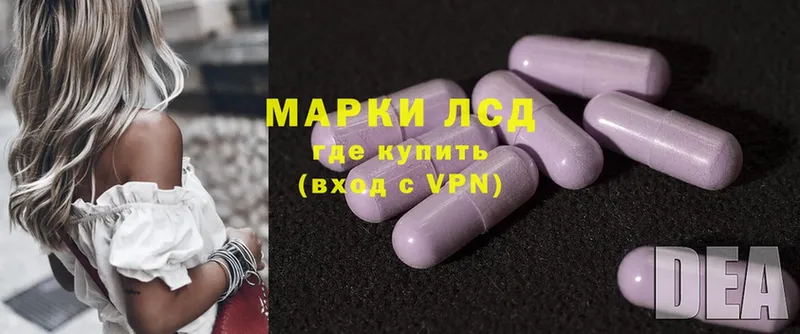 продажа наркотиков  Новосокольники  Лсд 25 экстази ecstasy 